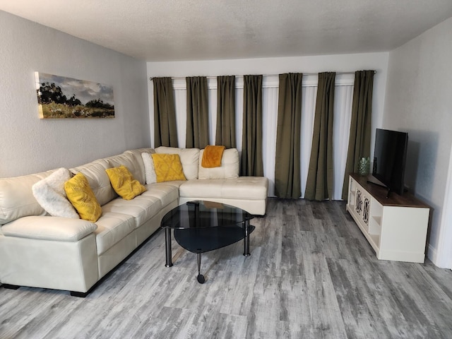 living room with light hardwood / wood-style flooring and a textured ceiling