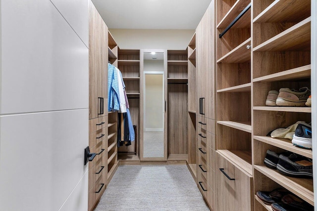 walk in closet featuring light carpet