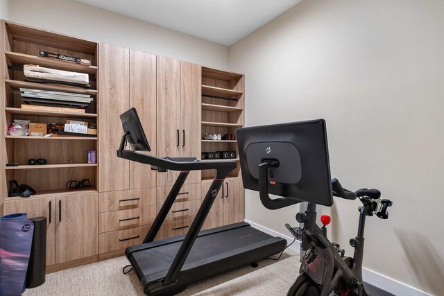 exercise area featuring light colored carpet