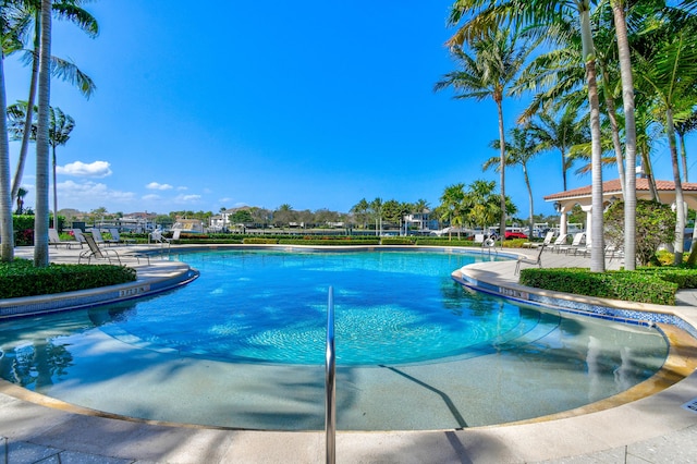 view of pool with a patio area