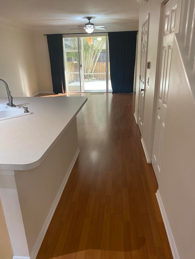 hall with sink and dark hardwood / wood-style flooring