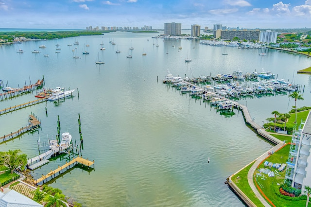 water view featuring a boat dock