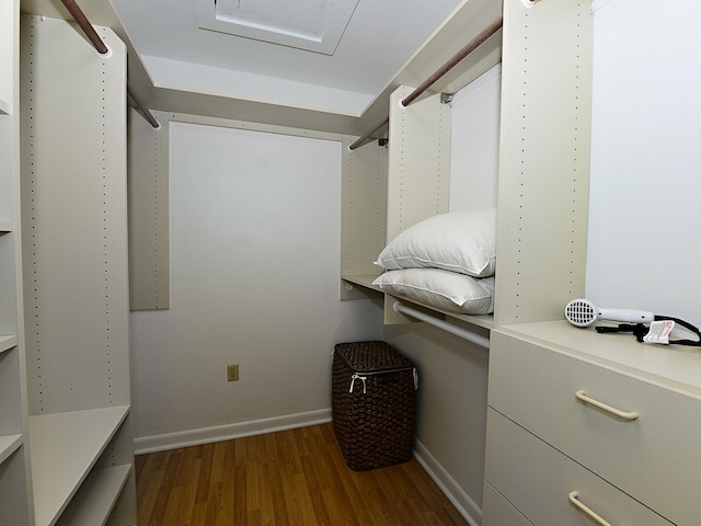 spacious closet with dark hardwood / wood-style floors