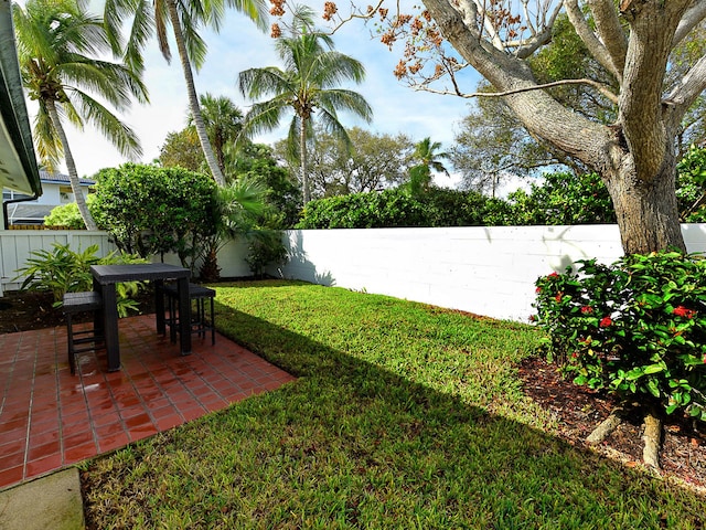 view of yard featuring a patio area