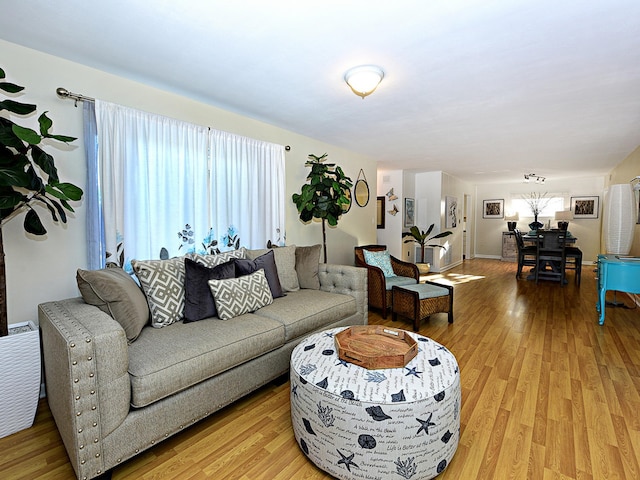 living room featuring light hardwood / wood-style flooring