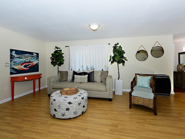 living room with light wood-type flooring