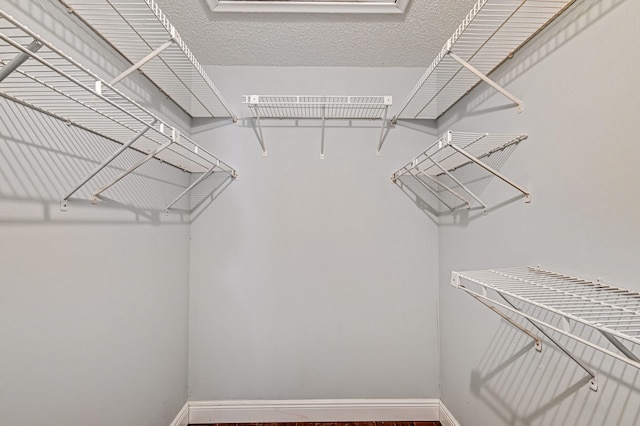 view of walk in closet