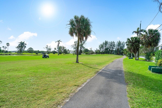 view of home's community with a yard