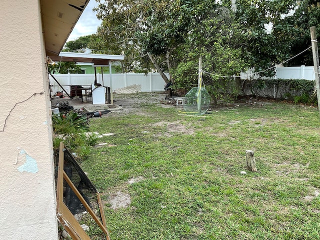 view of yard featuring a patio