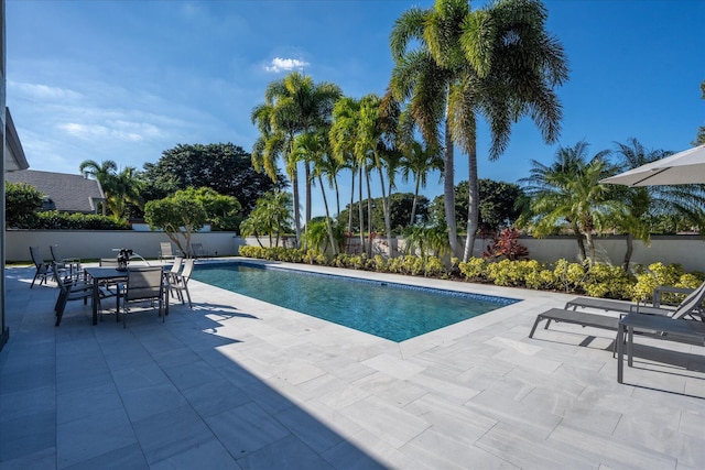 view of pool with a patio