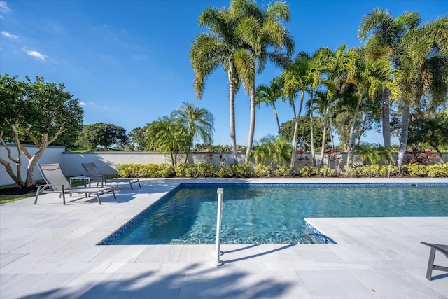 view of pool featuring a patio