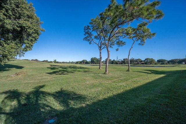 view of yard with a rural view