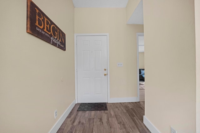 entryway featuring wood-type flooring