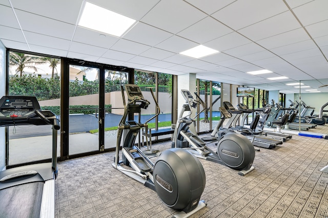 workout area featuring a healthy amount of sunlight, floor to ceiling windows, and a paneled ceiling