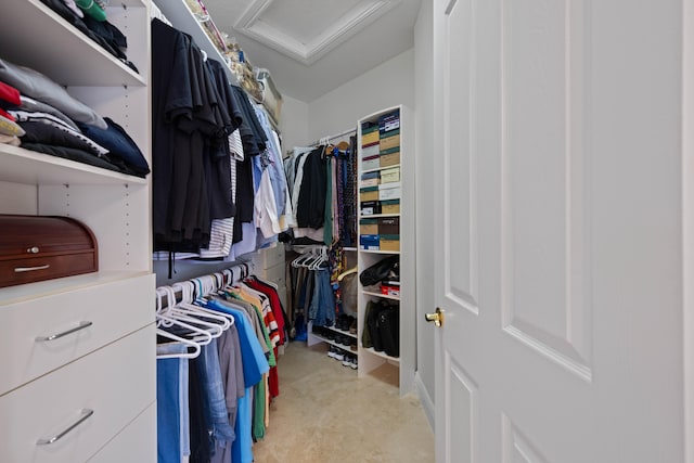 view of spacious closet