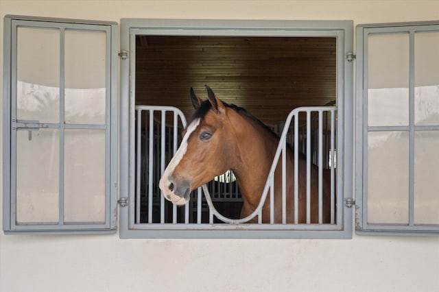 view of horse barn