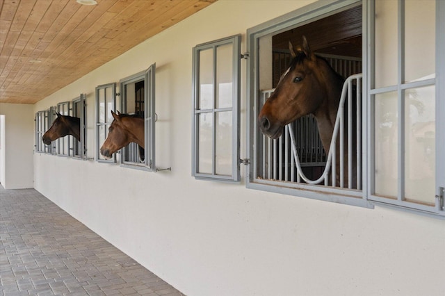 view of stable