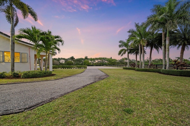 view of yard at dusk