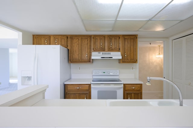 kitchen with a paneled ceiling, white appliances, and sink