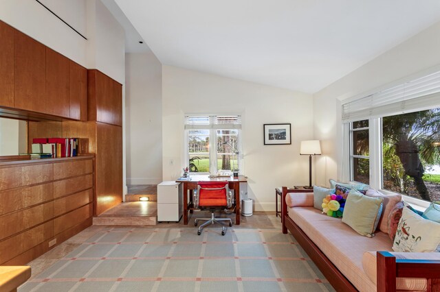 interior space featuring lofted ceiling