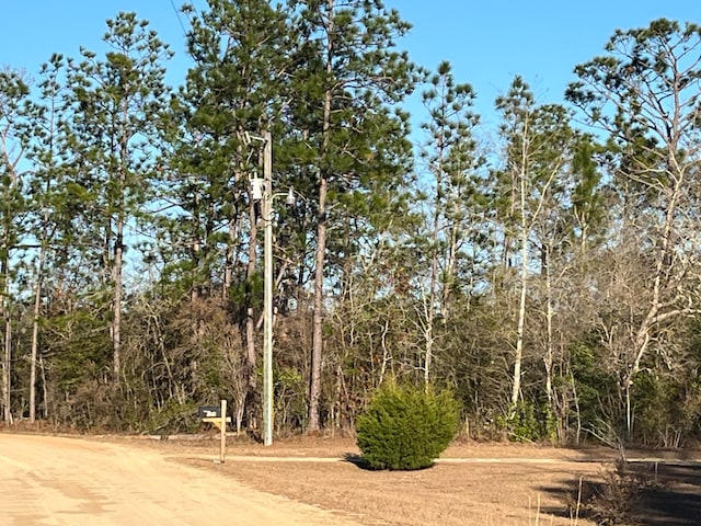 Listing photo 2 for TBD Goreville Ave, Alford FL 32420