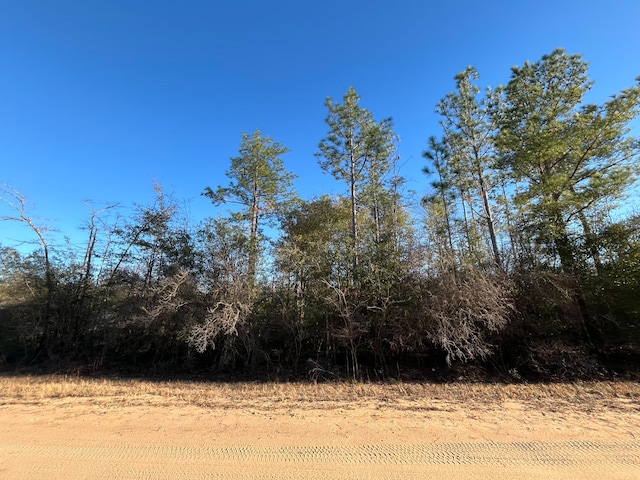 Listing photo 3 for TBD Goreville Ave, Alford FL 32420