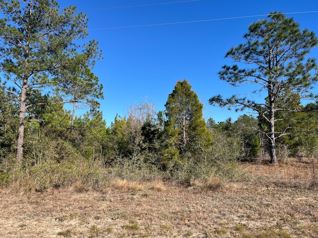 TBD Fairview Rd, Marianna FL, 32448 land for sale