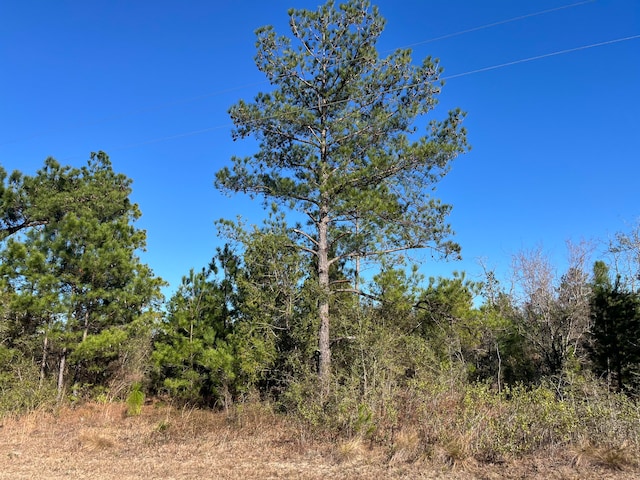 Listing photo 2 for TBD Fairview Rd, Marianna FL 32448