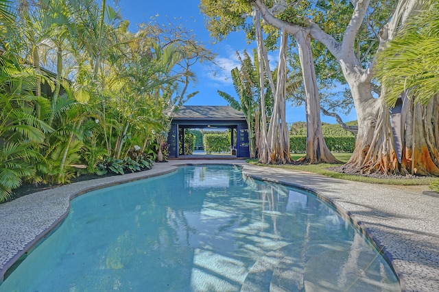 view of swimming pool