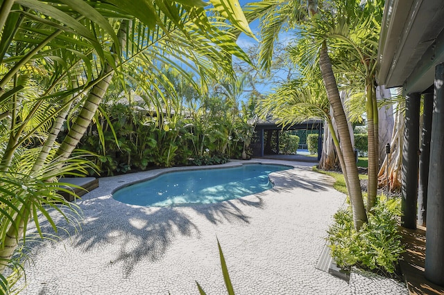 view of pool featuring a patio