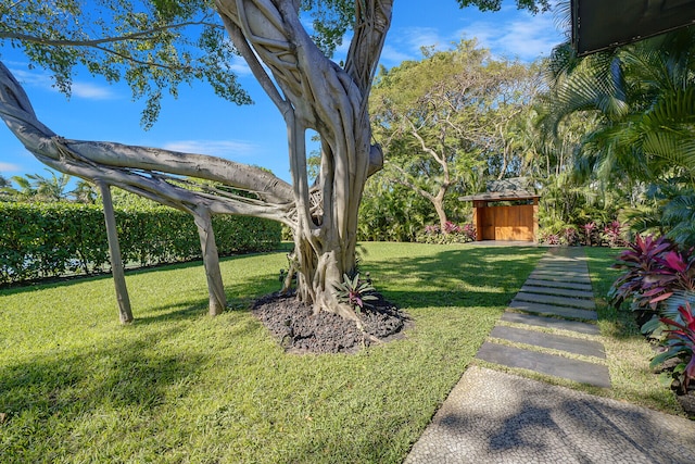 view of yard with a shed