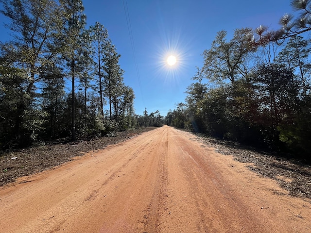 Tbd Bienville Court, Alford FL, 32420 land for sale