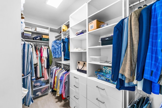 view of walk in closet