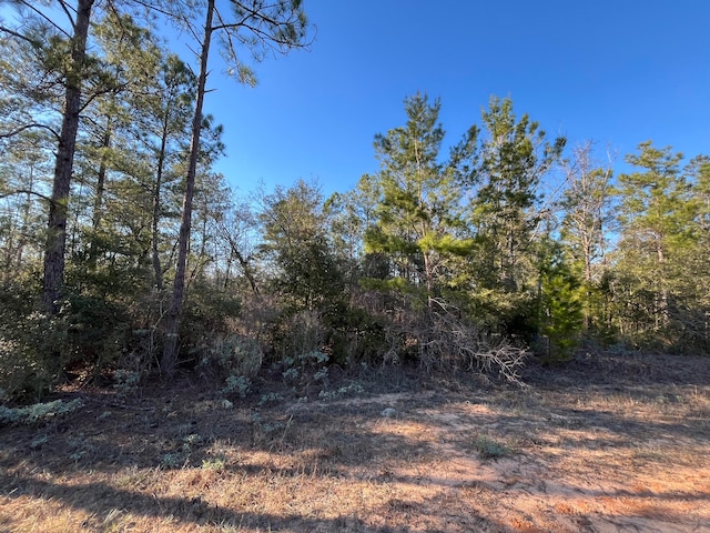 TBD Deshutes Dr, Alford FL, 32420 land for sale