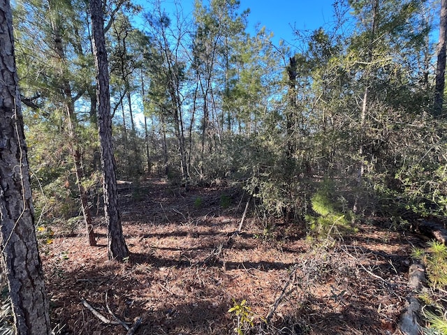 Listing photo 3 for TBD Deshutes Dr, Alford FL 32420