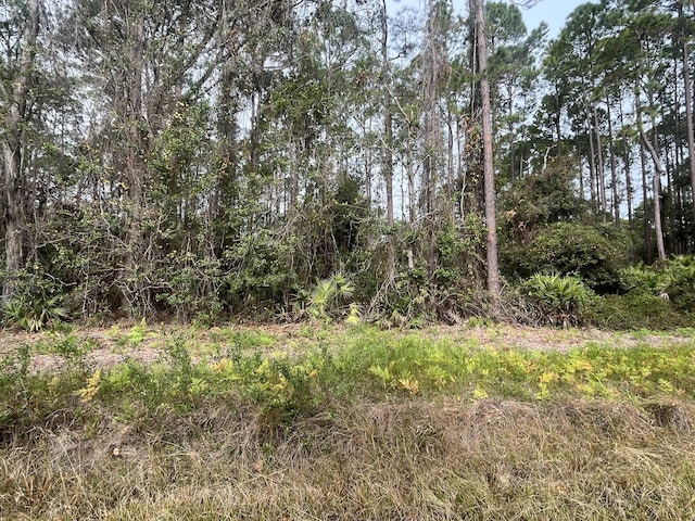 122 SE 2nd St, Georgetown FL, 32139 land for sale