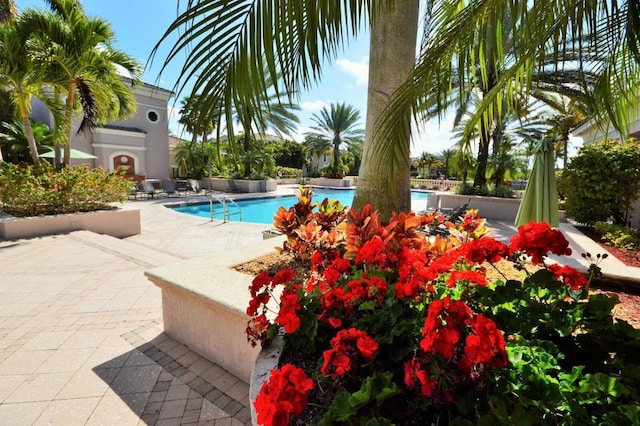 view of pool with a patio