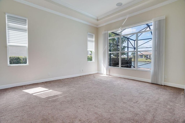 carpeted spare room featuring ornamental molding