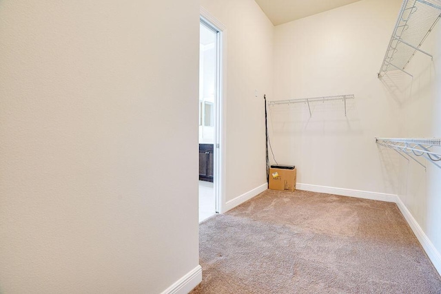 walk in closet featuring carpet