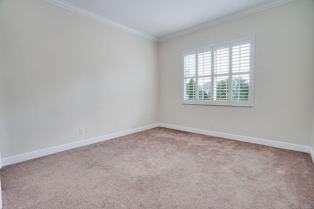 spare room featuring carpet floors and ornamental molding