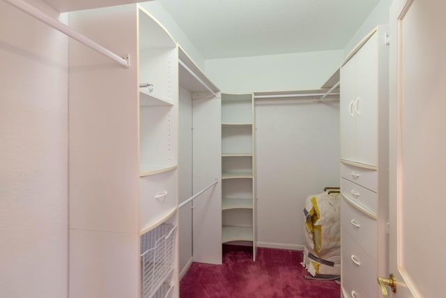 walk in closet featuring dark colored carpet