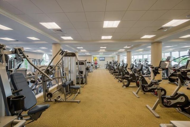 gym featuring light carpet, crown molding, and a paneled ceiling