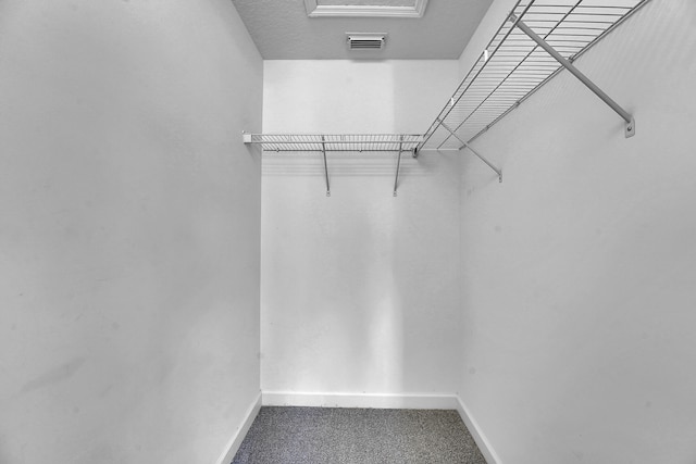 spacious closet with carpet floors