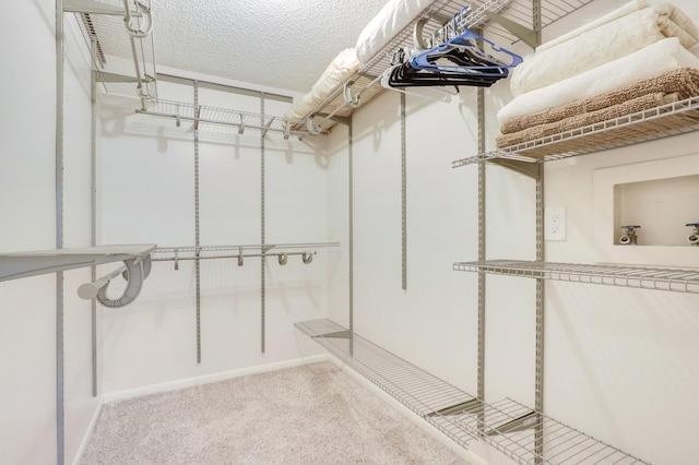 spacious closet with light colored carpet