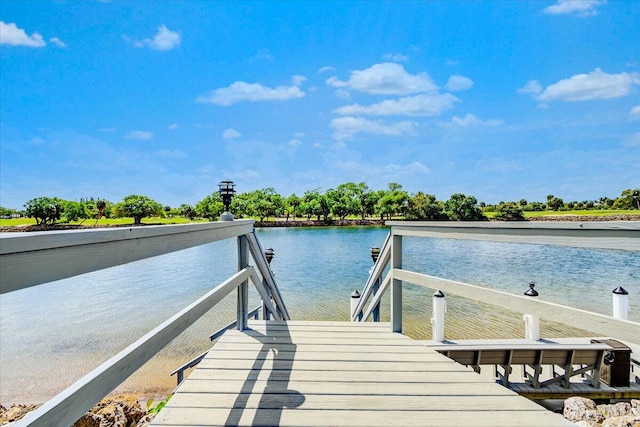 dock area with a water view