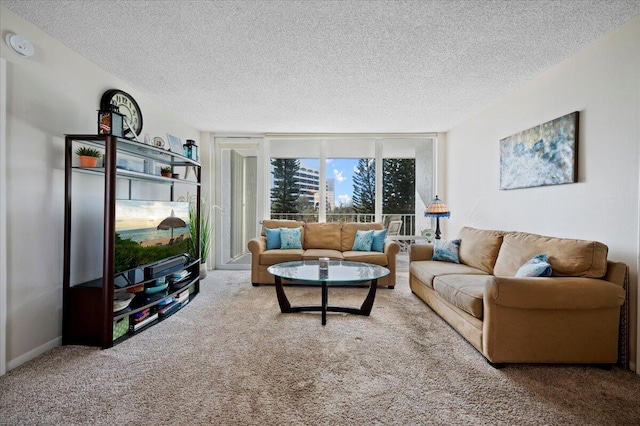 living room with carpet and a textured ceiling