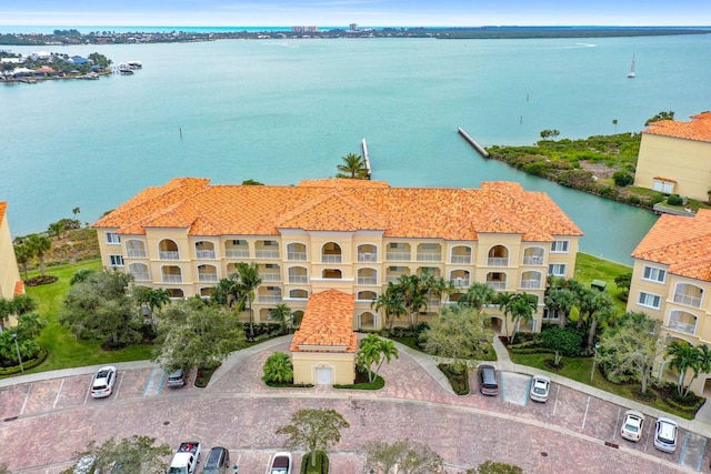 aerial view with a water view