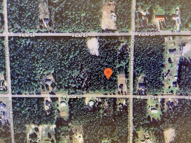 4310 Wanda St, Hastings FL, 32145 land for sale