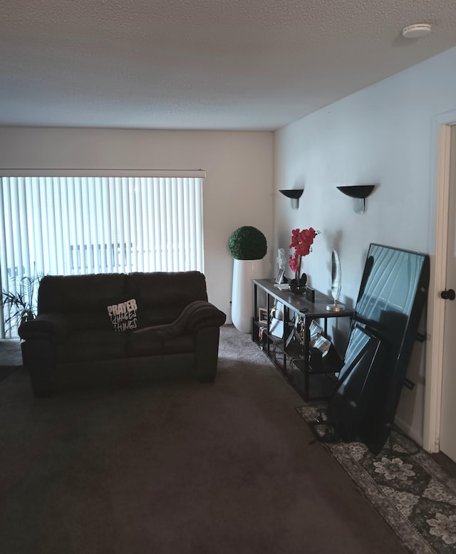 living room featuring a textured ceiling and carpet floors