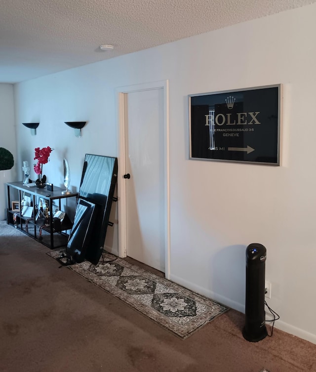 interior space with carpet flooring and a textured ceiling